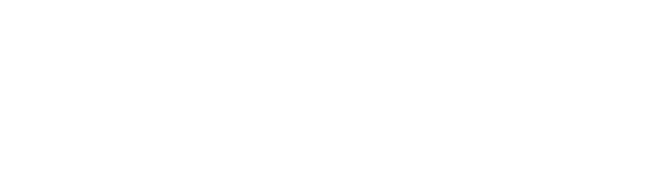 BTSO Akademi